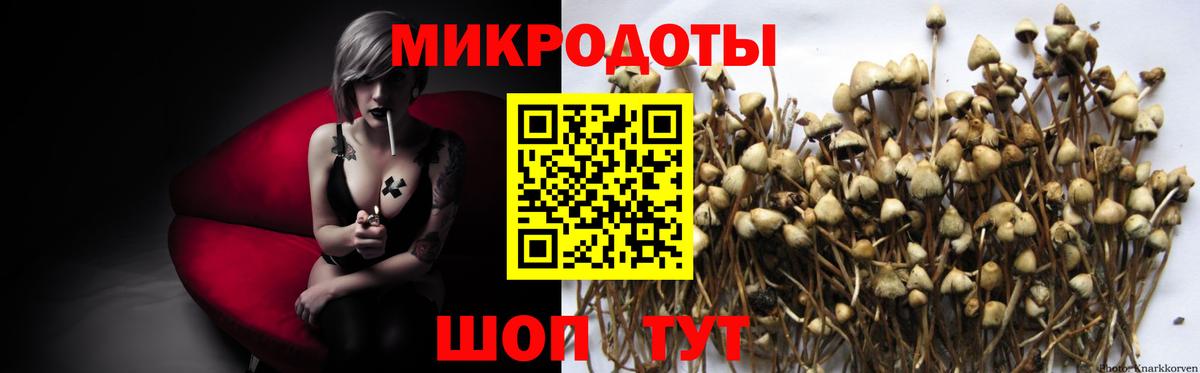 Псилоцибиновые грибы Magic Shrooms  Вход с VPN  Аша 